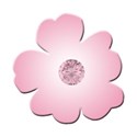 flower pink 3
