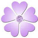 flower purple 1