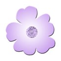 flower purple 3