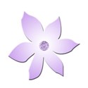 flower purple 2