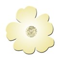 flower yellow 3