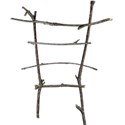 Branches