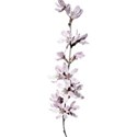 Flower 02