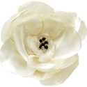 Flower 04