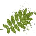 Glitter Leaf 01