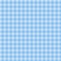 bg gingham blue