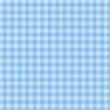 paper gingham blue