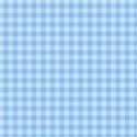 paper gingham blue