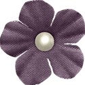 Flower 08