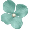 Flower 06
