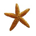 estrella