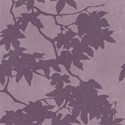 Resizeable Paper 15