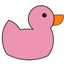 duck pink