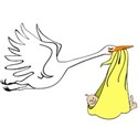 stork yellow