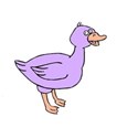 Purple Duck