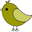 green bird