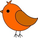 orange bird