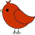 red bird