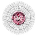 button rosette_edited-1