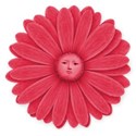 red daisy