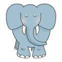 DZ_MB_elephant