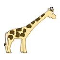 DZ_MB_giraffe
