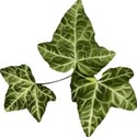 Strawberries_AutumnShade_el_07
