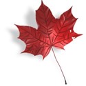 Strawberries_AutumnShade_el_16