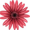 Strawberries_AutumnShade_el_19