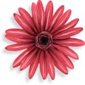 Strawberries_AutumnShade_el_20