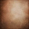 Strawberries_AutumnShade_paper_03
