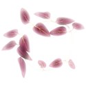 Redju_Digital-Crea_AnEnchantedWorld_foliage