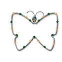 butterfly 1