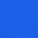 bg 11