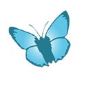 3 blue