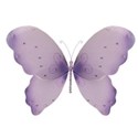 butterfly lavender