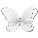 butterfly white
