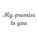 My Promise To You