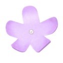 purple single flower