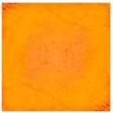 PP8