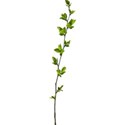 Branch 01