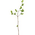 Branch 02