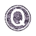 Q