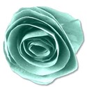 paperflowergreen2