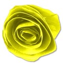 paperfloweryellow