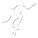 design3