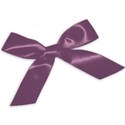 purple bow