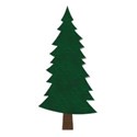 pine tree