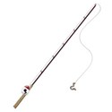 fishing pole with worm