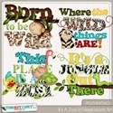 kitc_zoo_swordpre